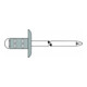 Gesipa PolyGrip Rivet aveugle multigamme Alu/A 2 K 9,5 3,2 x 9,5 S