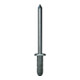 PolyGrip rivets aveugles à tige multigrip acier Gesipa