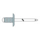 Gesipa PolyGrip Rivet aveugle Multigrip avec tige aluminium/acier galvanisé K 16 4,8 x 17 S