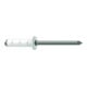 Gesipa PolyGrip Rivets aveugles Alu/Nirosta 4,8 x 10 F RAL 9010 Blanc pur