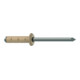 Gesipa PolyGrip Rivets aveugles Alu/Nirosta 4,8 x 25 RAL 1015 Ivoire clair