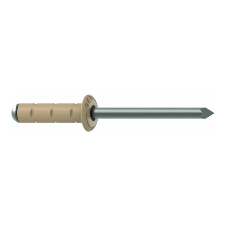 Gesipa PolyGrip Rivets aveugles Alu/Nirosta 4,8 x 25 RAL 1015 Ivoire clair