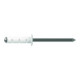 Gesipa PolyGrip Rivets aveugles Alu/Nirosta 4 x 10 RAL 9010 Blanc pur