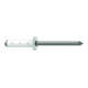 Gesipa PolyGrip Rivets aveugles Alu/Nirosta 4 x 10 RAL 9010 Blanc pur