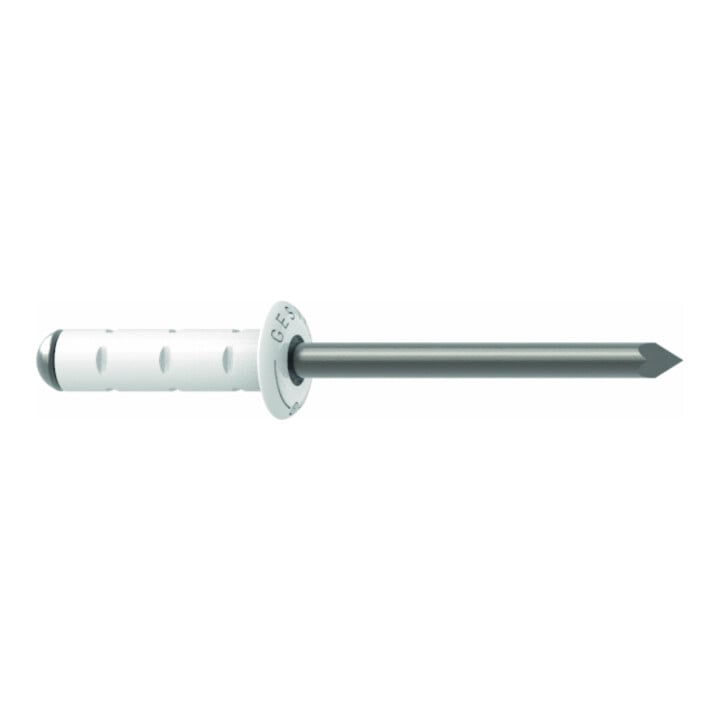 Gesipa PolyGrip Rivets aveugles Alu/Nirosta 4 x 10 RAL 9010 Blanc pur