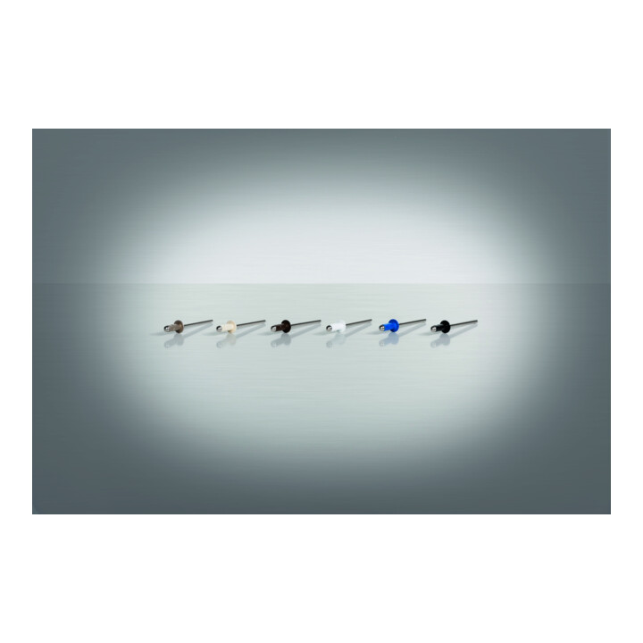 Gesipa PolyGrip Rivets aveugles Alu/Nirosta 4 x 10 RAL 9010 Blanc pur