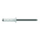 Gesipa PolyGrip Rivets aveugles Alu/Nirosta 4 x 13 F RAL 9003 Signal blanc
