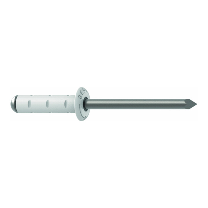 Gesipa PolyGrip Rivets aveugles Alu/Nirosta 4 x 13 F RAL 9003 Signal blanc