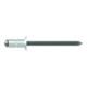 Gesipa PolyGrip rivets aveugles aluminium/acier tête fraisée 4 x 12