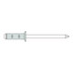 Gesipa PolyGrip rivets aveugles aluminium/acier tête fraisée 4 x 12