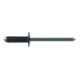 Gesipa PolyGrip-Schaltschrankniet e-FAST Flachrundkopf 4,0 x 13mm Alu/Stahl
