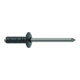 Gesipa PolyGrip-Schaltschrankniet e-FAST Flachrundkopf 4,0 x 13mm Alu/Stahl