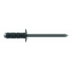 Gesipa PolyGrip-Schaltschrankniet e-FAST Flachrundkopf Alu/Edelstahl 3,2 x 8mm