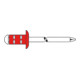 GESIPA Rivet aveugle PolyGr Alu/Inox 4,8 x 25 mm RAL 7016