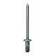Gesipa Rivets aveugles PolyBulb acier/acier tête plate 4,8 x 16