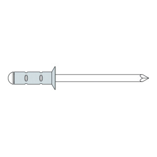 Gesipa Rivetti ciechi PolyGrip, alluminio/acciaio
