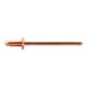 GESIPA Spenglerniete Kupfer/Bronze Flachrundkopf 3,2 x 6mm