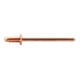 GESIPA Spenglerniete Kupfer/Bronze Flachrundkopf 3,2 x 8