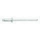 GESIPA Spenglerniete Stahl/Stahl Flachrundkopf 3,2 x 6