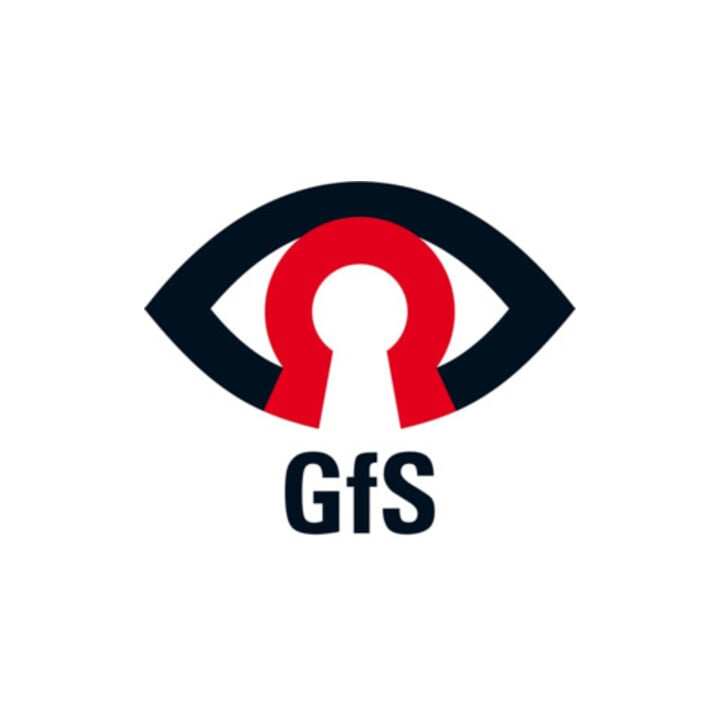 GFS EH-Gardien de porte 990 100 PHZ avec 2 clés, vert laqué, préalarme, pile 9 V
