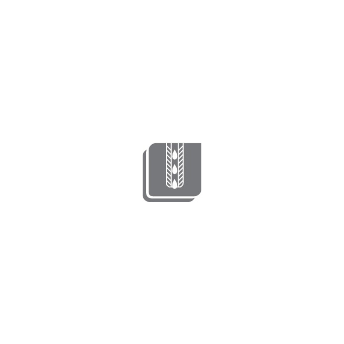 GFS Goupille de guidage refroidissement interne Gr. 2 30 mm