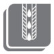 GFS Zapfensenker-Set Tige cylindrique Taille 0-5