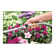 Gießgerät GEKA plus Soft rain classic Ms/Leichtmetall Stecksystem 60cm KARASTO
