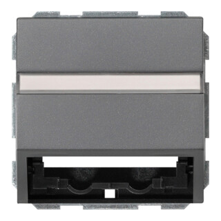 Gira Abdeckhaube Datentech. ant System55 087028