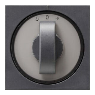 Gira Abdeckung m.Knebel anth Jalousie, System55 066628