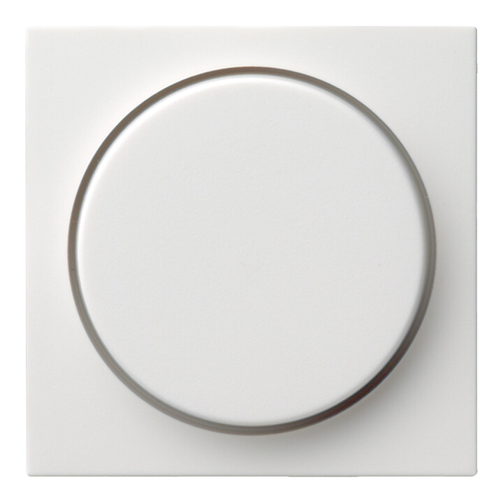 Gira Abdeckung rws-gl f.Drehdimmer 065003