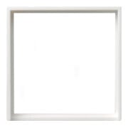 Gira Adapterrahmen rws-gl quadr. 50x50mm S.55 028203-3