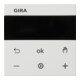 Gira Affichage RTR rws 539303