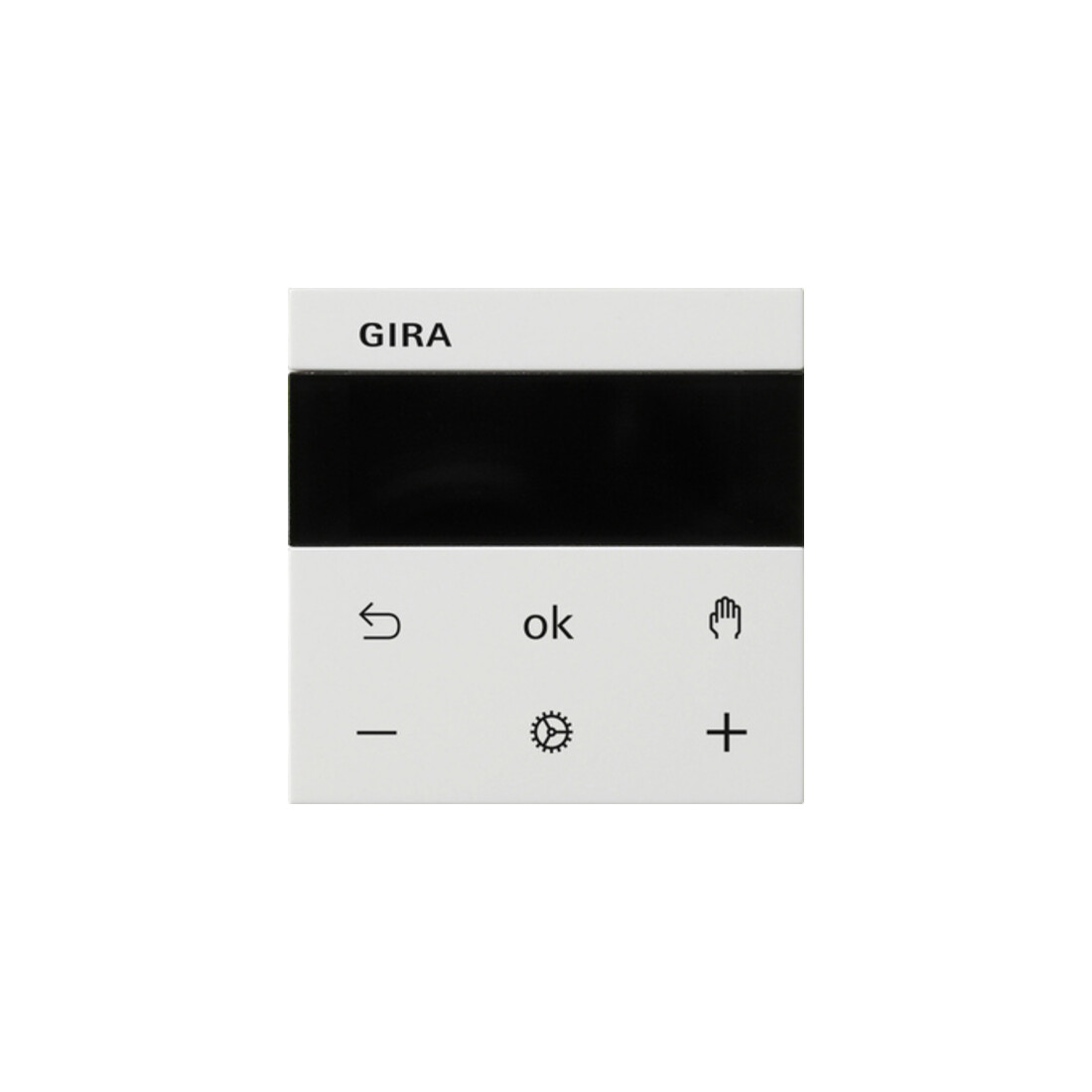 Gira Affichage RTR rws 539303