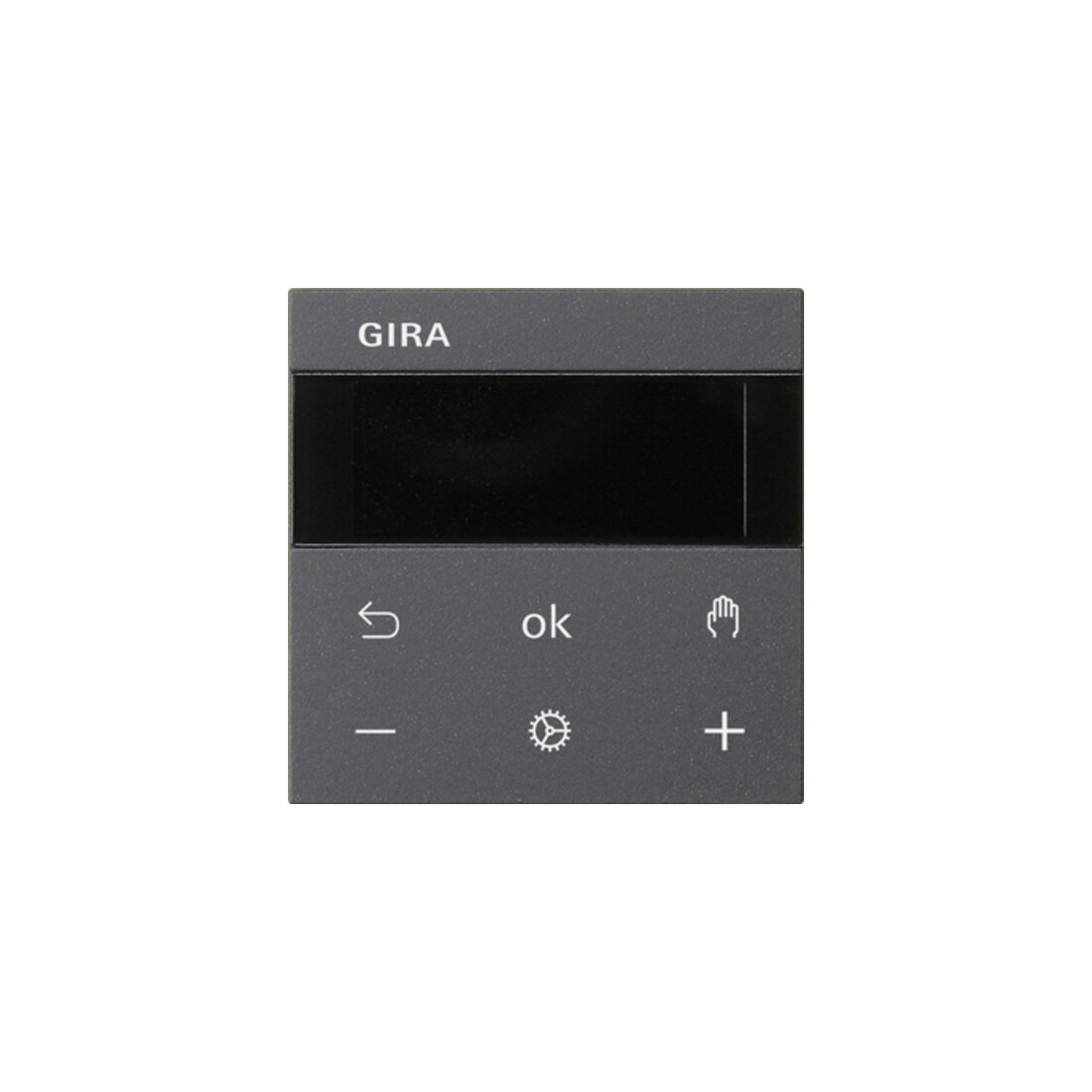 Gira Afficheur RTR anthracite 539328