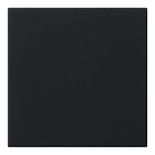 Gira Bedienaufsatz sw S3000 5360005