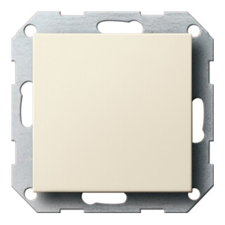 Gira Blindabdeckung cws-gl m.Tragring 026801