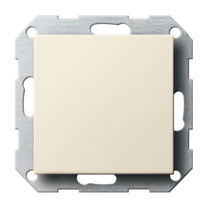 Gira Blindabdeckung cws-gl m.Tragring 026801