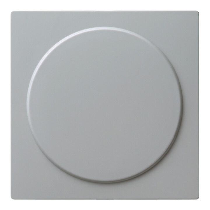 Gira Blindabdeckung gr S-Color 026842
