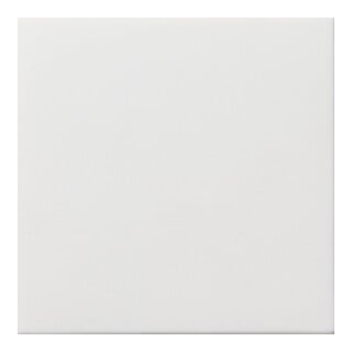 Gira Blindabdeckung rws-gl 0268112