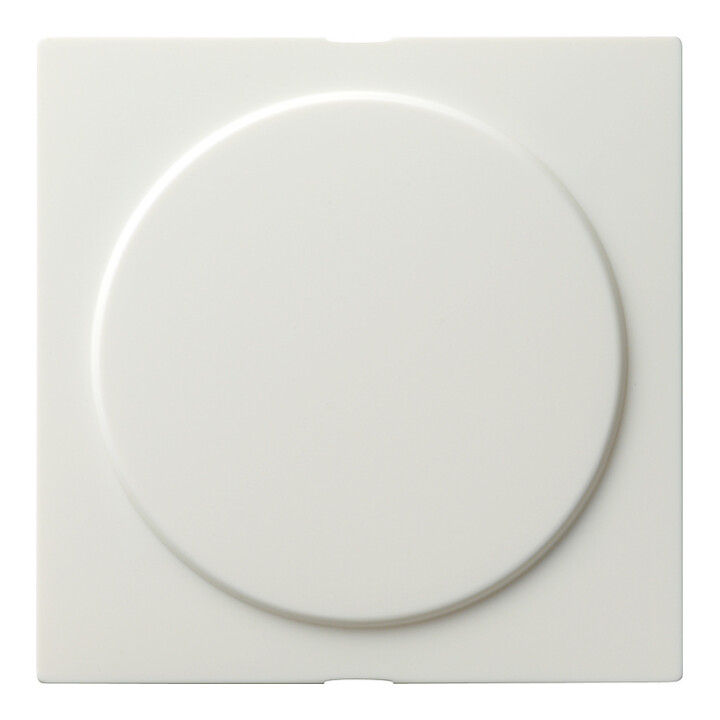 Gira Blindabdeckung rws S-Color 026840