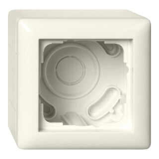 Gira Boîtier en saillie 1f + cadre Standard 55 blanc 106101