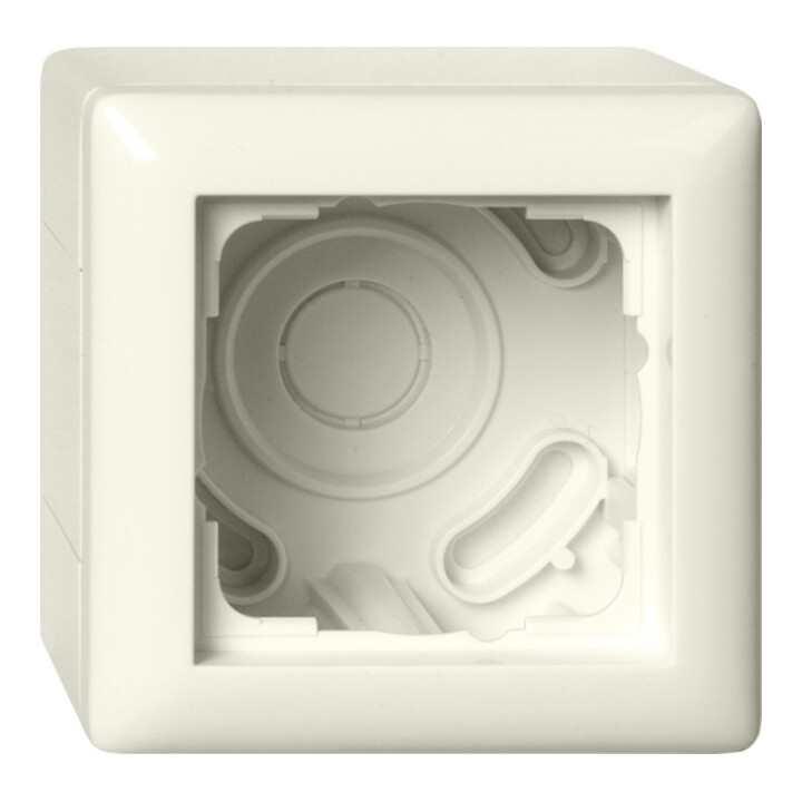 Gira Boîtier en saillie 1f + cadre Standard 55 blanc 106101