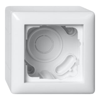 Gira Boîtier en saillie 1f + cadre Standard 55 blanc Rweiß 106103