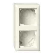Gira Boîtier en saillie 2f + cadre Standard 55 blanc 106201-1