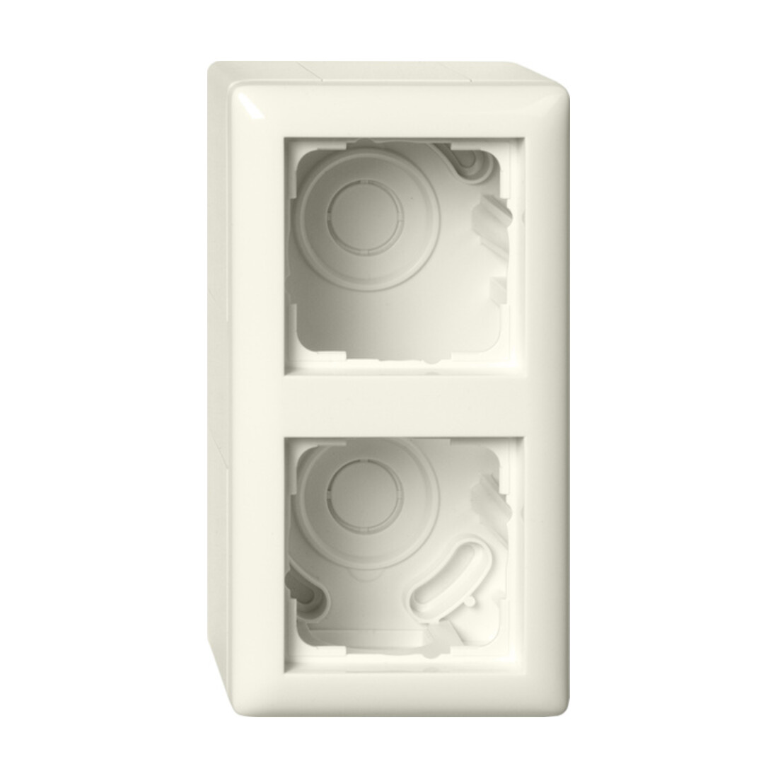 Gira Boîtier en saillie 2f + cadre Standard 55 blanc 106201