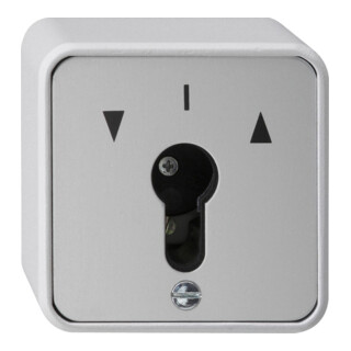 Gira Bouton-poussoir à clé 1 pôle, AP-WG 016330