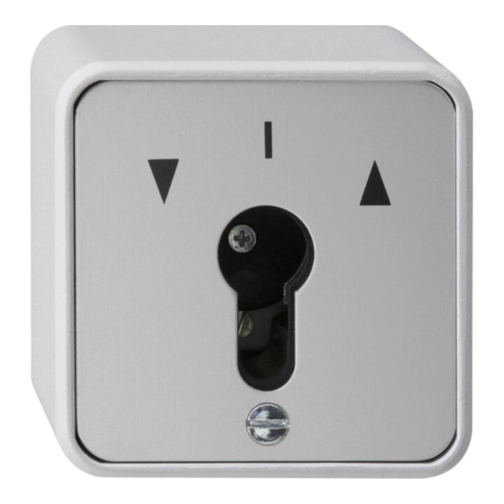 Gira Bouton-poussoir à clé 1 pôle, AP-WG 016330