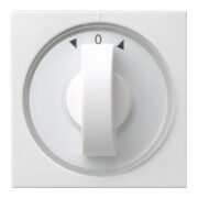 Gira Cache avec bouton rws Jalousie, System55 066627-1