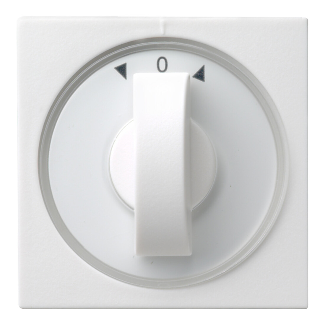 Gira Cache avec bouton rws Jalousie, System55 066627