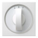 Gira Cache avec bouton rws Jalousie, System55 066627